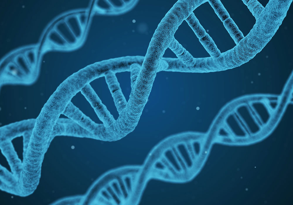 Genetic Disorder Reference Sheet: MUTYH-Associated Polyposis