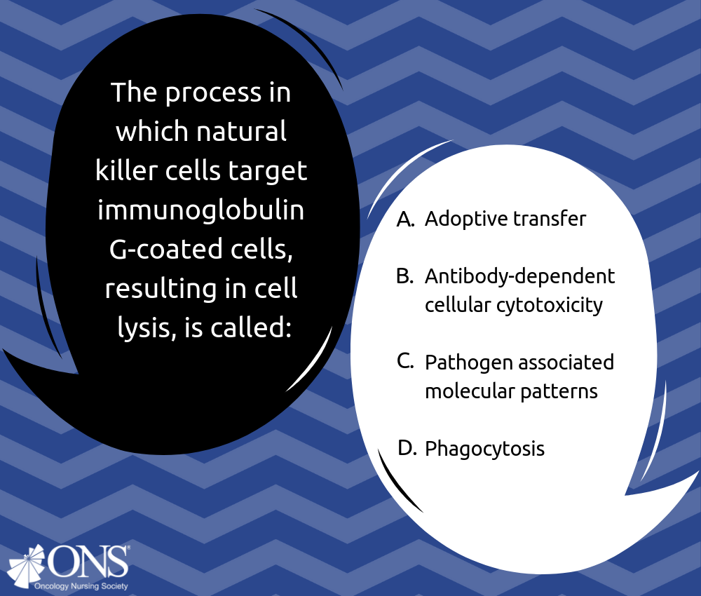 What Is the Process Called When Natural Killer Cells Target Immunoglobulin G-Coated Cells, Resulting in Cell Lysis?