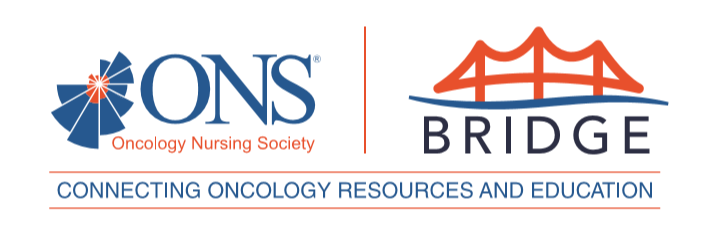 ONS Bridge logo