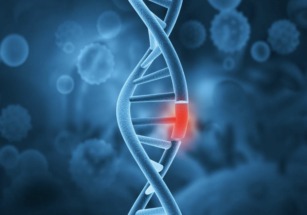 Genetic Disorder Reference Sheet: BRIP1 